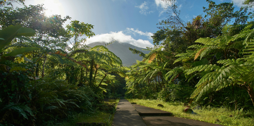 contact-bg Contact Bg